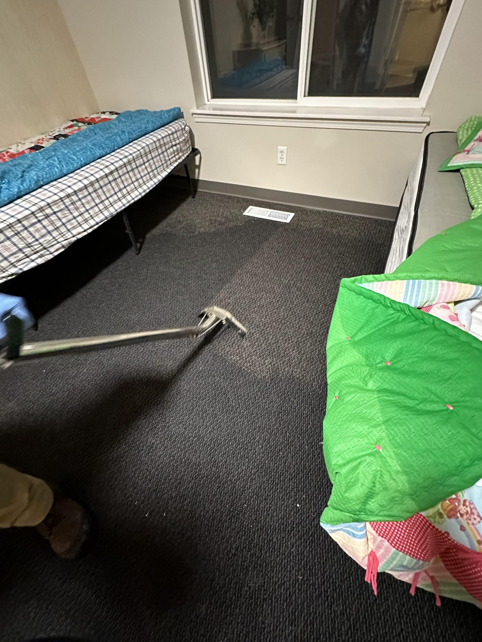 carpet cleaning idaho falls