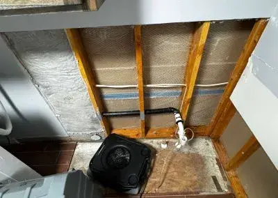 Post-remediation mold inspection Idaho Falls