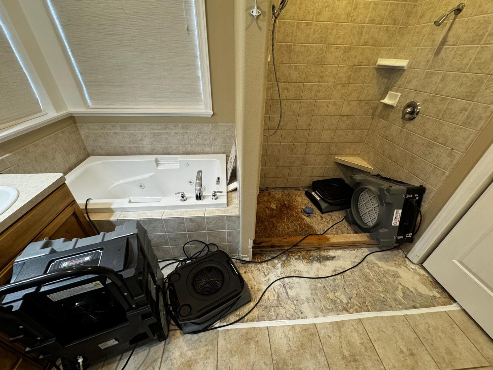 mold inspection rexburg id