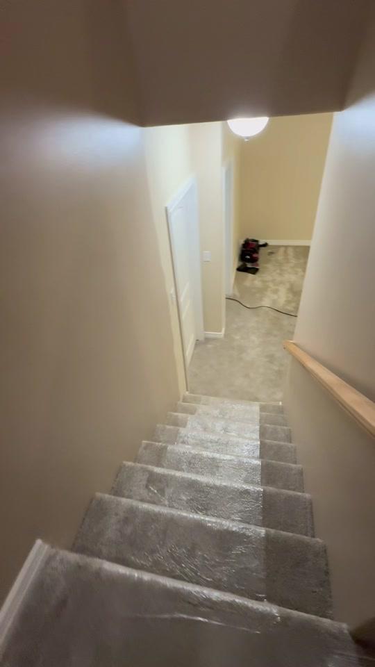 What an amazing surprise! We have a massive foundation leak from the ...